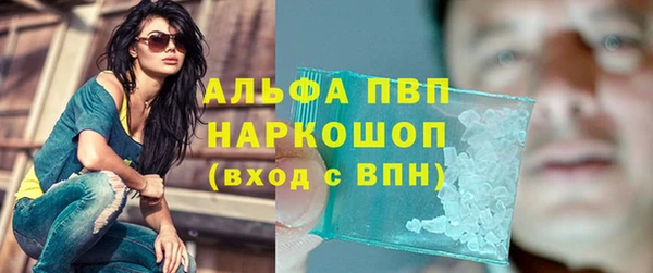 стаф Михайловск
