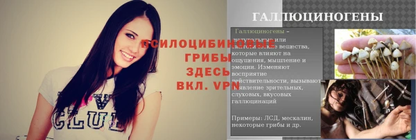 прущие крисы Гусь-Хрустальный