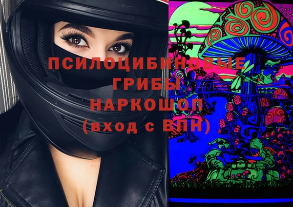 прущие крисы Гусь-Хрустальный