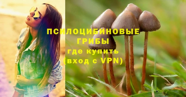 прущие крисы Гусь-Хрустальный